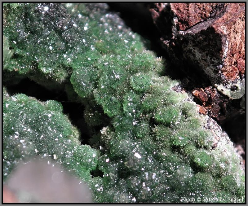 Fotografie minerálu Konichalcit z lokality Ojuela Mine, Mexico
