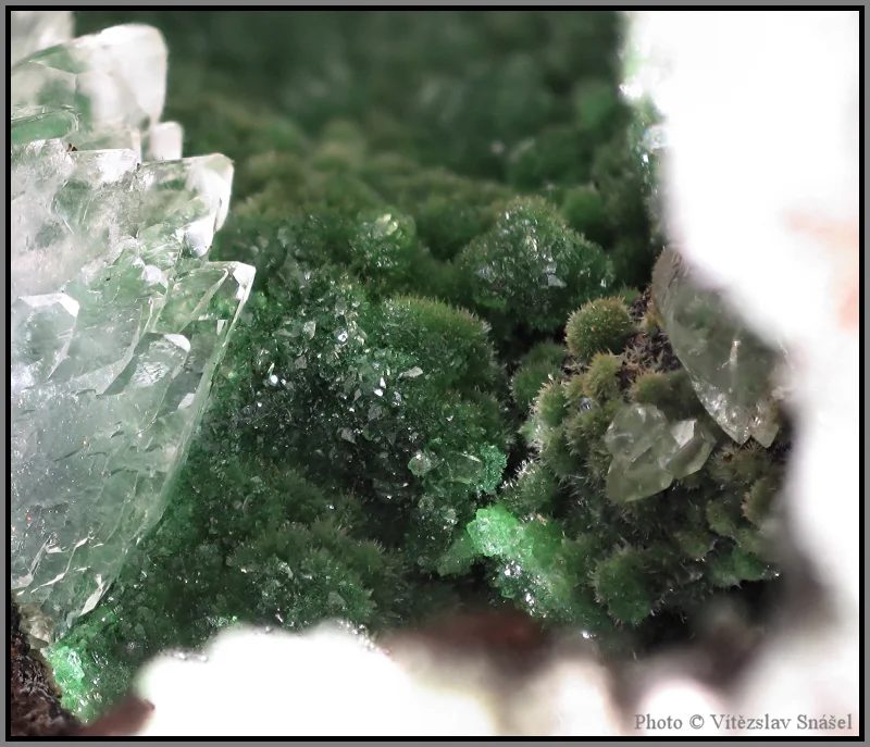 Fotografie minerálu Konichalcit z lokality Ojuela Mine, Mexico