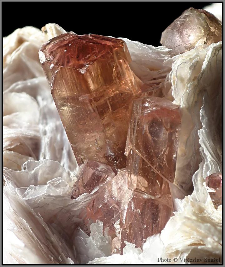 Fotografie minerálů Elbait (var. rubelit), Lepidolit z lokality Malkhan, Russia