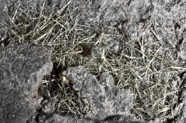 Fotografie minerálu Millerit z lokality důl Staříč, Czech Republic