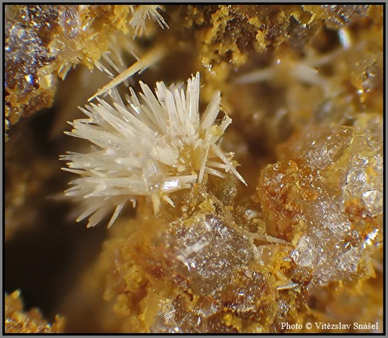 Fotografie minerálu Pyromorfit z lokality La Lande quarry, Brittany, France