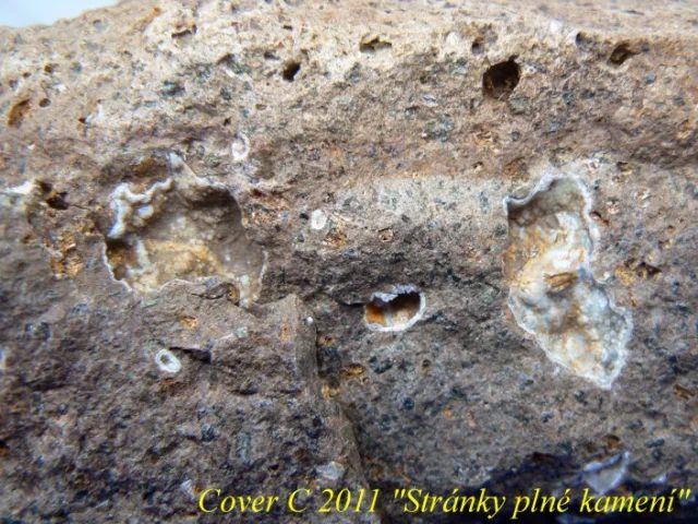 Fotografie minerálu Křemen (var. chalcedon) z lokality Bánov - Skalky II, Czech Republic