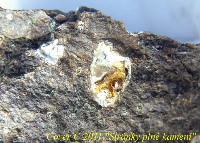 Fotografie minerálu Křemen (var. chalcedon) z lokality Bánov - Skalky II, Czech Republic