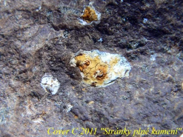 Fotografie minerálu Křemen (var. chalcedon) z lokality Bánov - Skalky II, Czech Republic