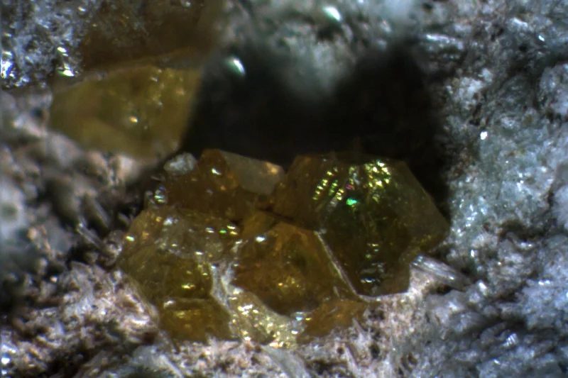 Fotografie minerálu Topazolit z lokality Ala, Italy