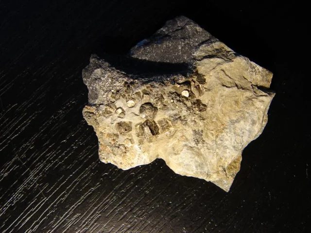 Fotografie minerálu Pyrit z lokality Hranice na Moravě, Czech Republic