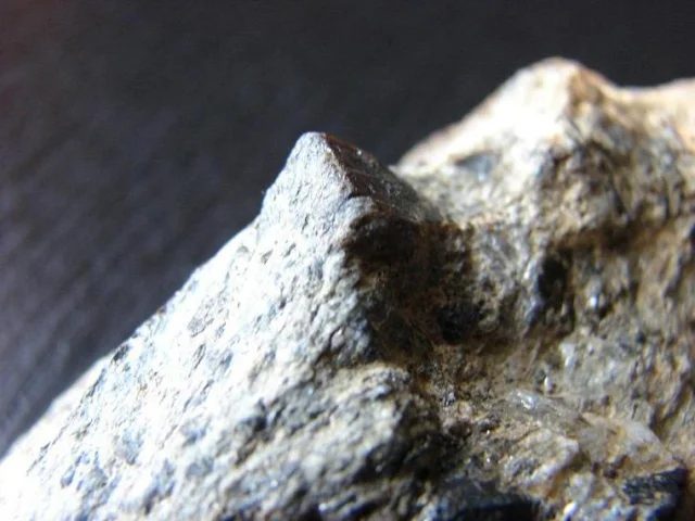 Fotografie minerálu Staurolit z lokality Šerák, Czech Republic