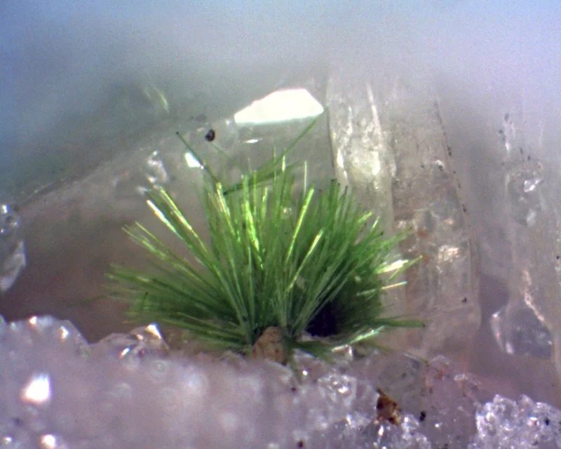 Fotografie minerálu Agardit z lokality Grube Clara, Germany