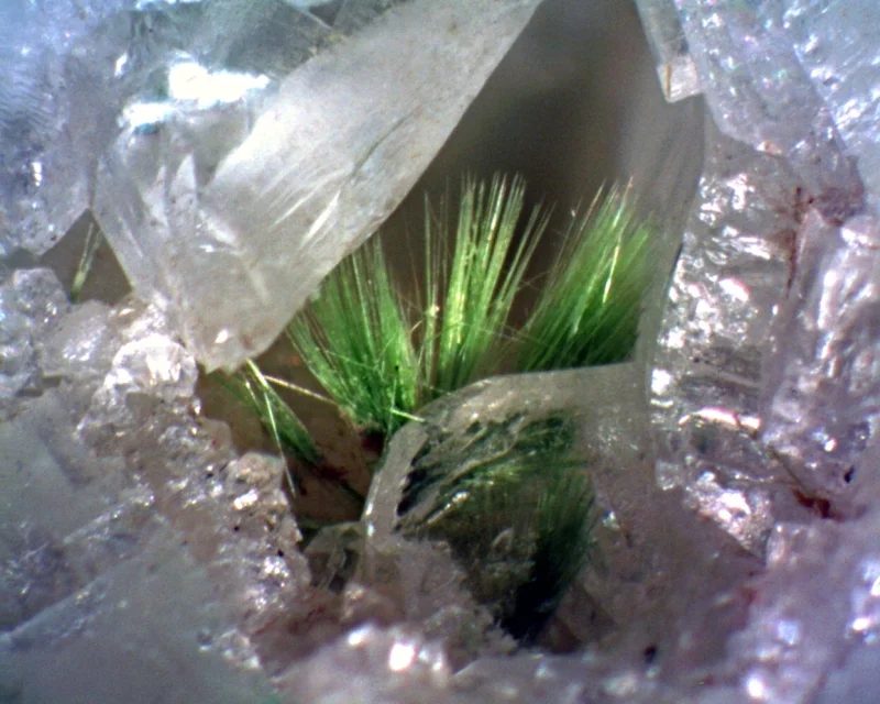 Fotografie minerálu Agardit z lokality Grube Clara, Germany