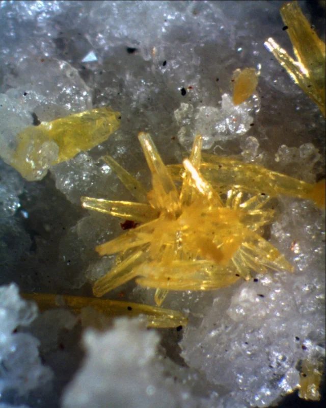 Fotografie minerálu Mimetit z lokality Grube Clara, Germany