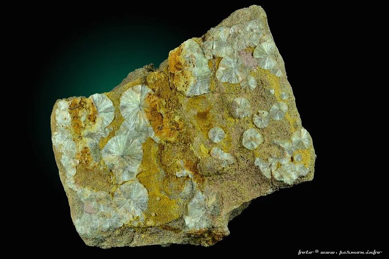 Fotografie minerálu Wavellit z lokality Třenice, Czech Republic