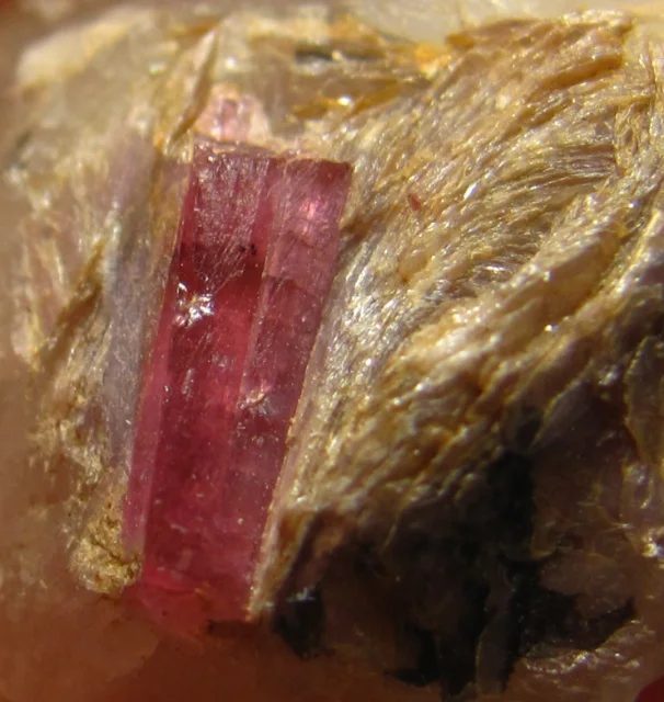 Fotografie minerálu Elbait (var. rubelit) z lokality Dobrá Voda, Czech Republic