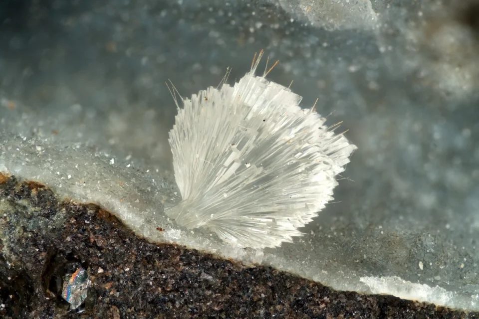 Fotografie minerálu Thomsonit z lokality Papenoo, Tahiti, France
