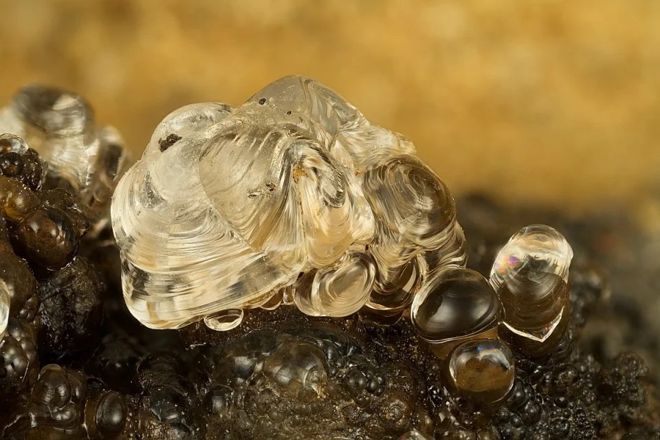 Fotografie minerálu Opál (var. hyalit) z lokality Kecerovský Lipovec, Slovakia