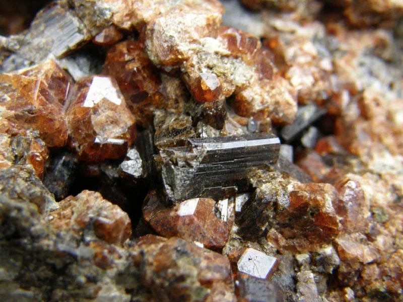 Fotografie minerálů Grossulár (var. hessonit), Vesuvián z lokality Žulová, Czech Republic