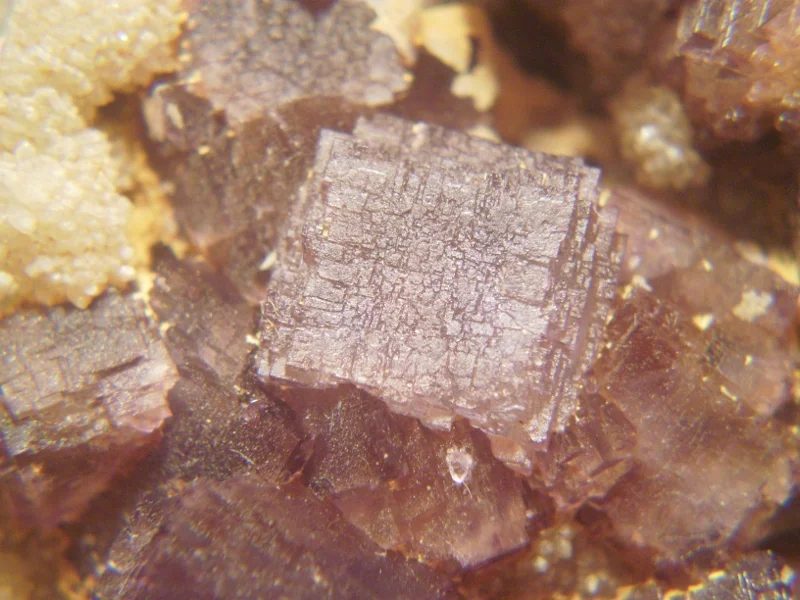 Fotografie minerálu Fluorit z lokality Kožlí u Ledče nad Sázavou, Czech Republic