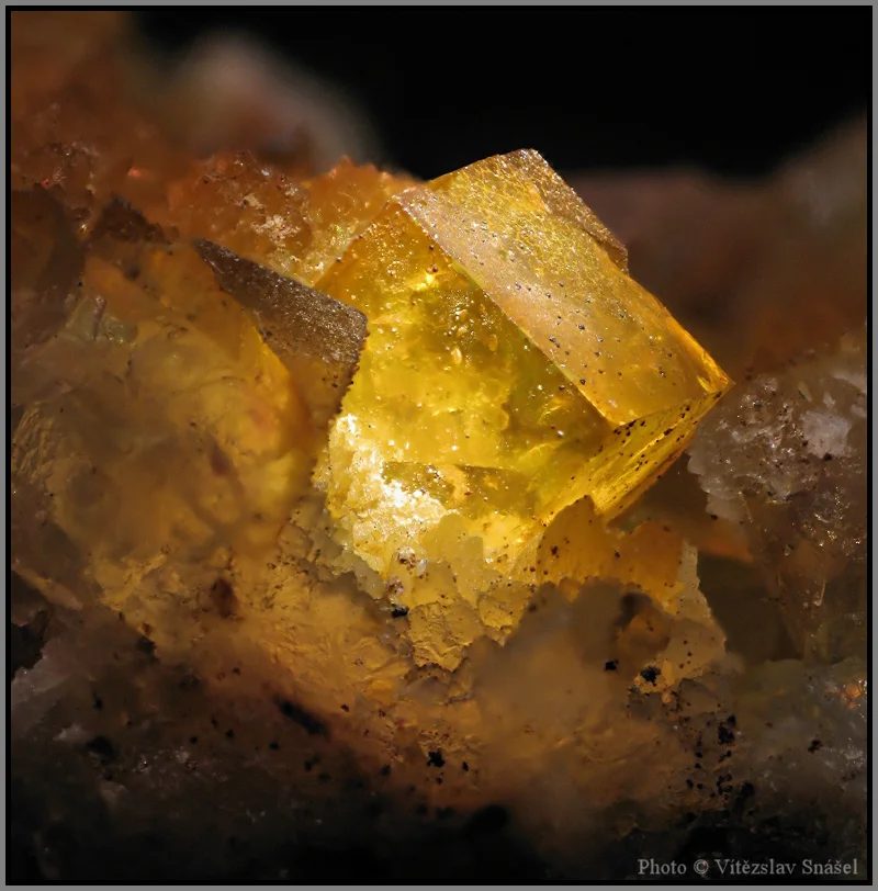 Fotografie minerálu Fluorit z lokality Budjgar, Mongolia