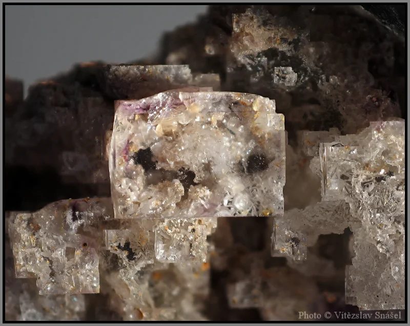 Fotografie minerálu Fluorit z lokality Budjgar, Mongolia