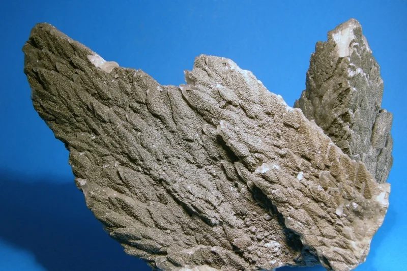 Fotografie minerálů Kalcit, Pyrit z lokality Příbram, Czech Republic