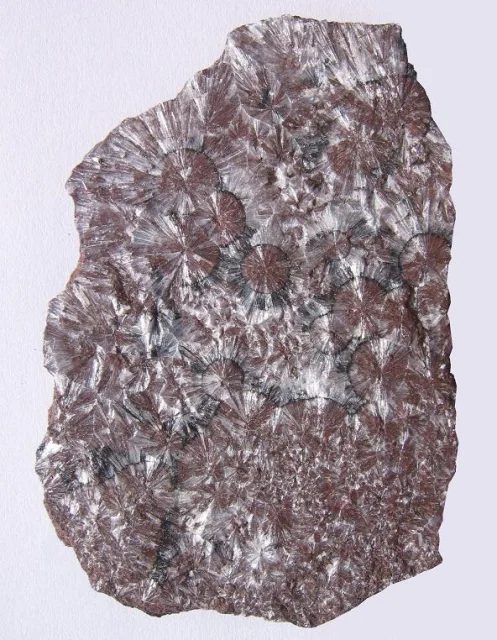 Fotografie minerálu Wavellit z lokality Třenice, Czech Republic