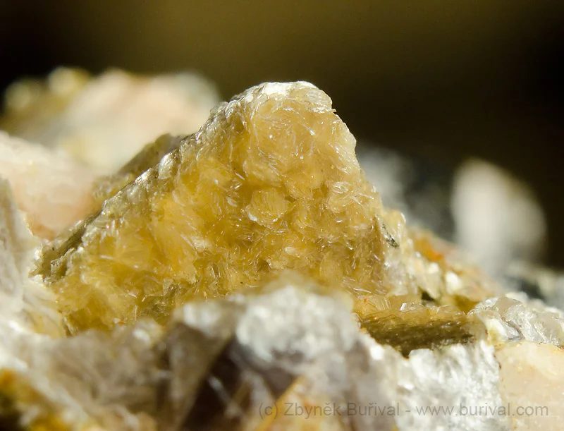 Fotografie minerálu Hydromuskovit z lokality Dolní Bory, Czech Republic