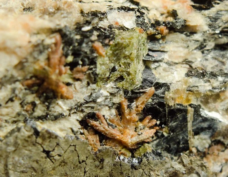Fotografie minerálů Ilmenit, Monazit-(Ce), Zirkon z lokality Dolní Bory, Czech Republic