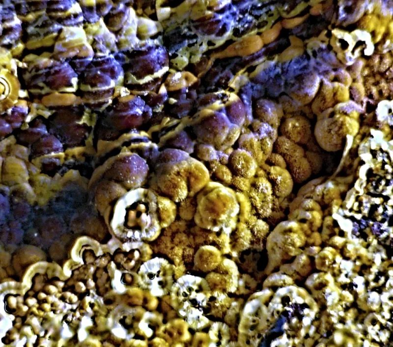 Fotografie minerálu Kakoxen z lokality Třenice, Czech Republic