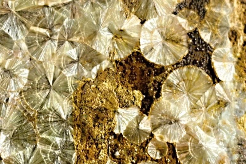 Fotografie minerálu Wavellit z lokality Třenice, Czech Republic