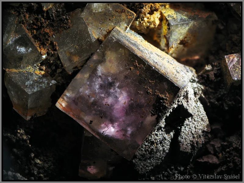 Fotografie minerálu Fluorit z lokality Budjgar, Mongolia