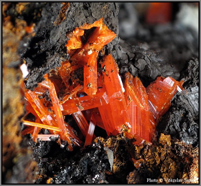 Fotografie minerálu Krokoit z lokality Dundas, Tasmánie, Australia