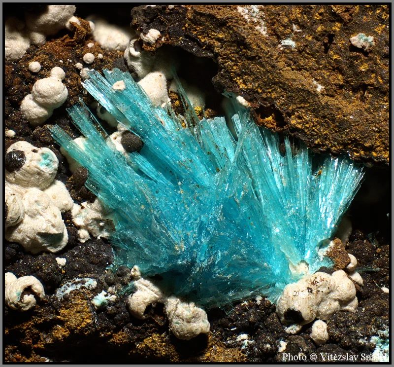 Fotografie minerálu Aurichalcit z lokality Ojuela Mine, Mexico