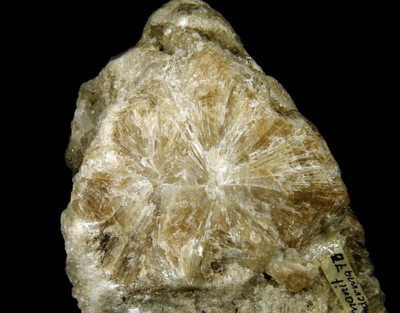 Fotografie minerálu Hybroboracit z lokality Panderma, Turkey