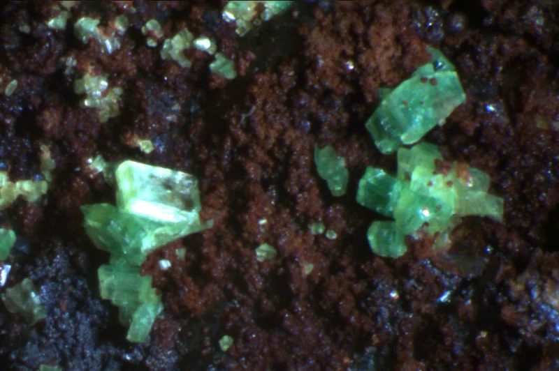 Fotografie minerálu Uranocircit z lokality Damětice, Czech Republic