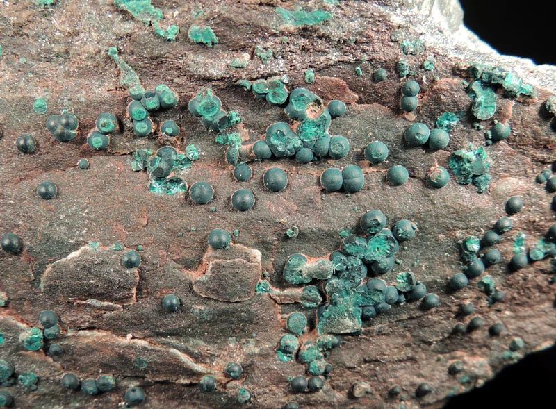 Fotografie minerálu Pseudomalachit z lokality Krucemburk, Czech Republic