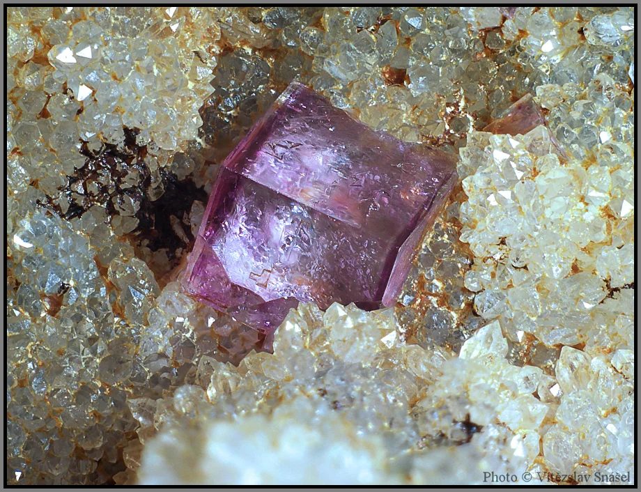 Fotografie minerálu Fluorit z lokality Kožlí, Czech Republic