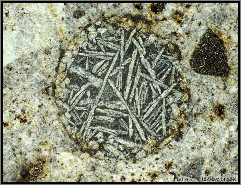 Fotografie minerálů Olivín, Pyroxen z lokality Hamadah al Hamra, Libya