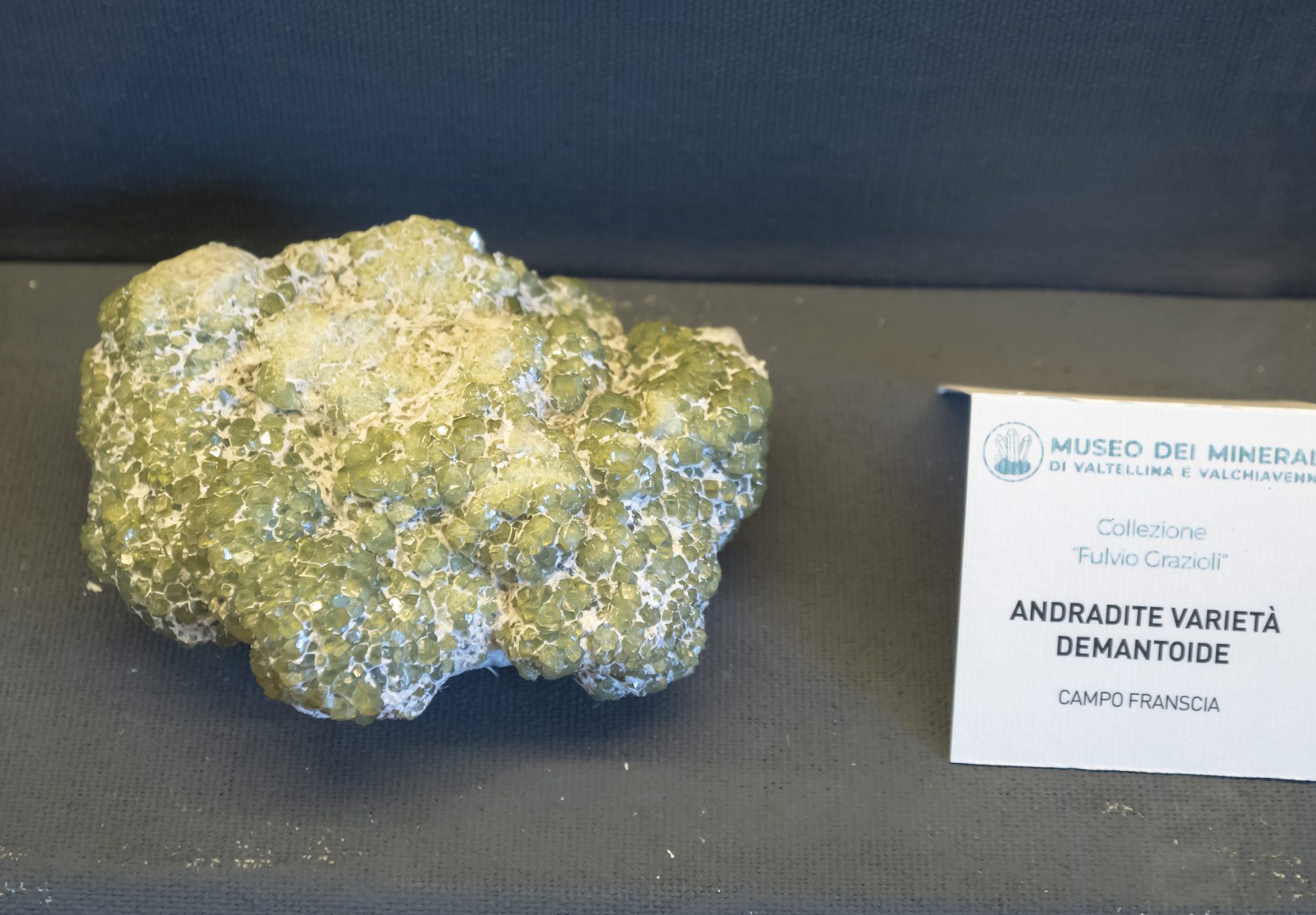 Fotografie minerálů Andradit (var. demantoid), Chryzotil (var. azbest) z lokality Campo Franscia, Lanzada, Sondrio Province, Lombardy, Italy