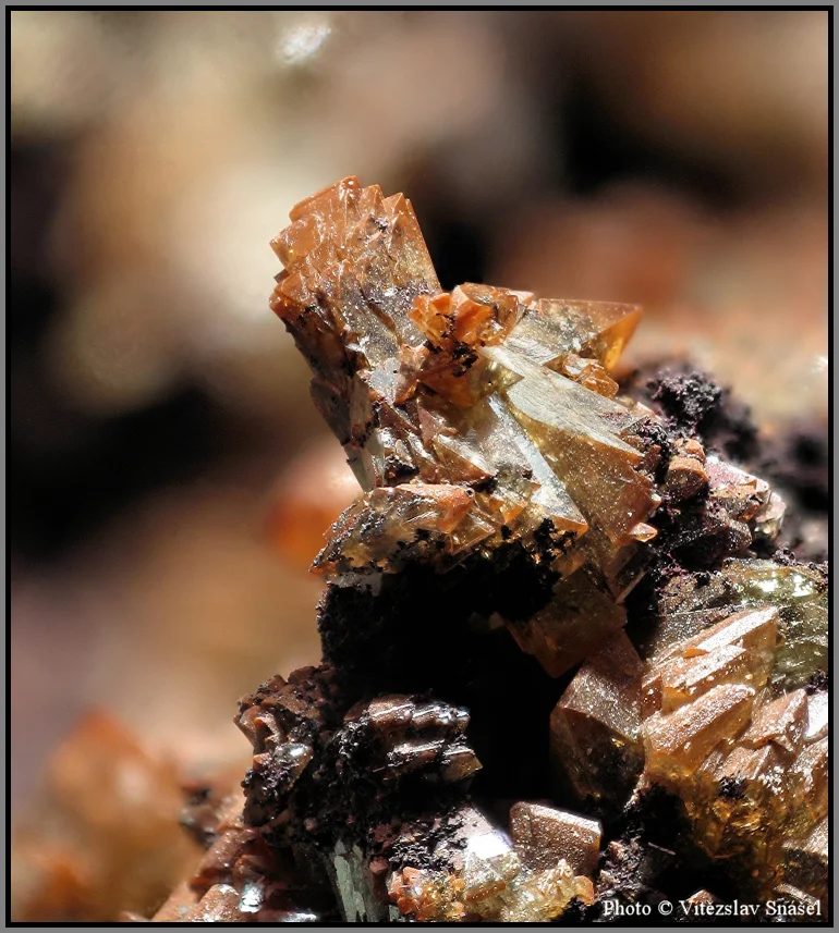 Fotografie minerálu Adamin z lokality Ojuela Mine, Mexico