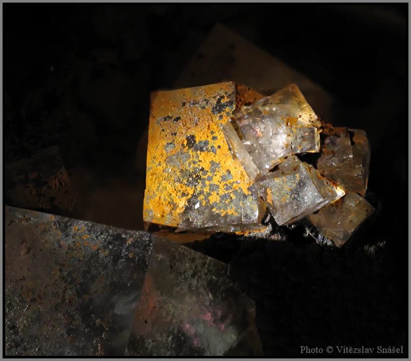 Fotografie minerálu Fluorit z lokality Budjgar, Mongolia