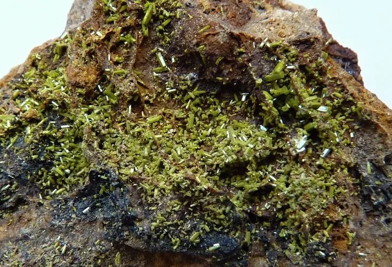 Fotografie minerálu Pyromorfit z lokality Nová Ves u Rýmařova, Czech Republic