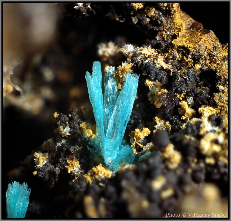 Fotografie minerálu Aurichalcit z lokality Ojuela Mine, Mexico