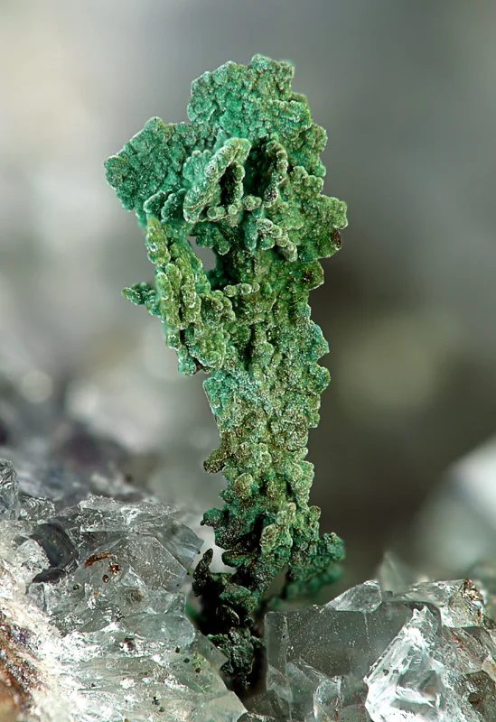 Fotografie minerálů Brochantit, Měď z lokality Vrchoslav, Czech Republic