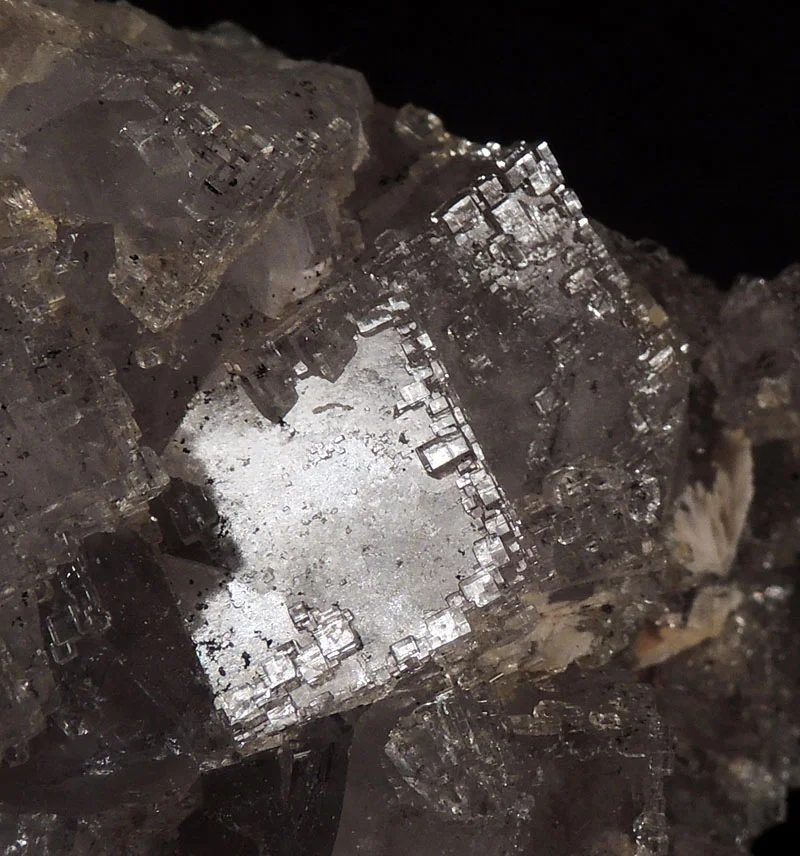 Fotografie minerálu Fluorit z lokality Berbes, Asturias, Spain