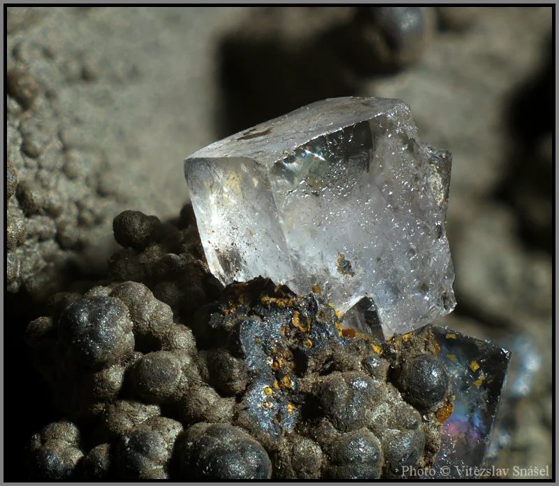 Fotografie minerálu Fluorit z lokality Budjgar, Mongolia