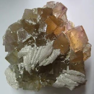 Fotografie minerálů Baryt, Fluorit z lokality Běstvina, Czech Republic