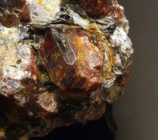 Fotografie minerálu Almandin z lokality Dolní Bory, Czech Republic