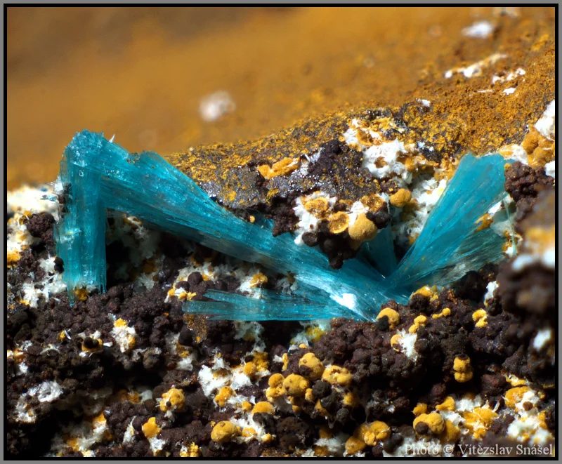 Fotografie minerálu Aurichalcit z lokality Ojuela Mine, Mexico