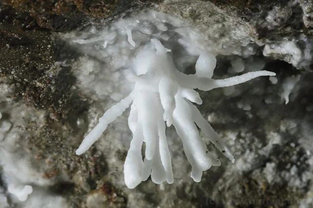 Fotografie minerálu Aragonit z lokality Dobšiná, Slovakia