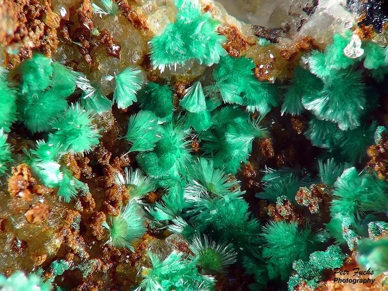 Fotografie minerálu Malachit z lokality Krupka, Czech Republic