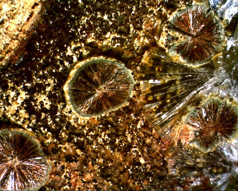 Fotografie minerálu Beraunit z lokality Třenice, Czech Republic